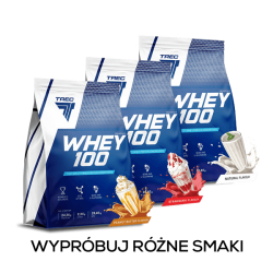 Zestaw WHEY 100  x 3