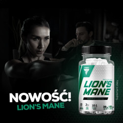 Lion's Mane - Soplówka Jeżowata