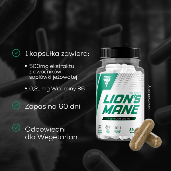 Lion's Mane - Soplówka Jeżowata