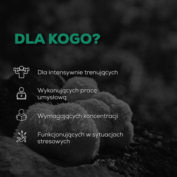 Lion's Mane - Soplówka Jeżowata