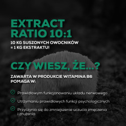 Lion's Mane - Soplówka Jeżowata