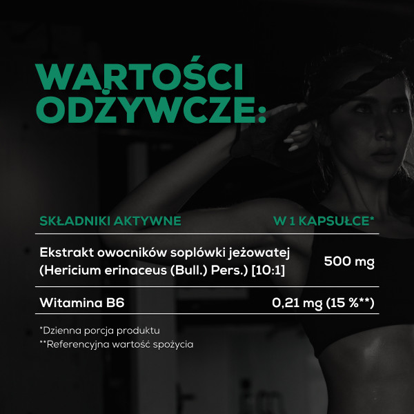 Lion's Mane - Soplówka Jeżowata