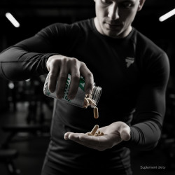 Lion's Mane - Soplówka Jeżowata