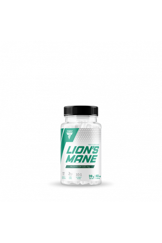 Lion's Mane - Soplówka Jeżowata