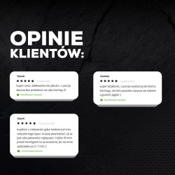 Przedtreningówka S.A.W. POWDER w proszku