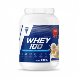 Białko WHEY 100