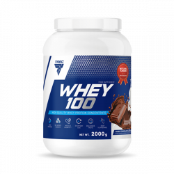 Białko WHEY 100