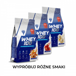 Zestaw WHEY 100  x 3