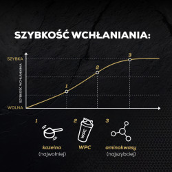 PROTEIN 100 - Białko wzbogacone aminokwasami