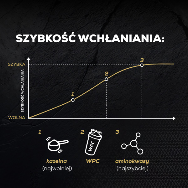 PROTEIN 100 - Białko wzbogacone aminokwasami