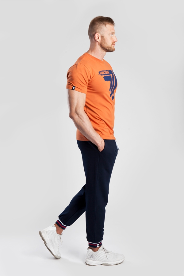Pomarańczowy T-shirt męski T-SHIRT PLAY HARD 008 ORANGE https://www.trec.pl/media/catalog/product/t/s/ts_p