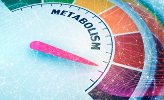 Jak działa metabolizm? Procesy anaboliczne i kataboliczne